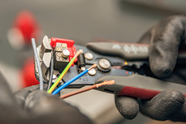 Best Electric Panel Repair  in Rushford, MN
