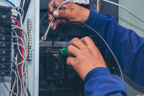 Best 24-Hour Electrician  in Rushford, MN